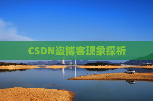 CSDN盗博客现象探析 CSDN盗博客现象探析